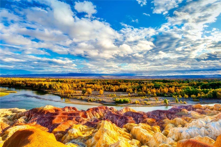 新疆之行,心之所向的深度感悟